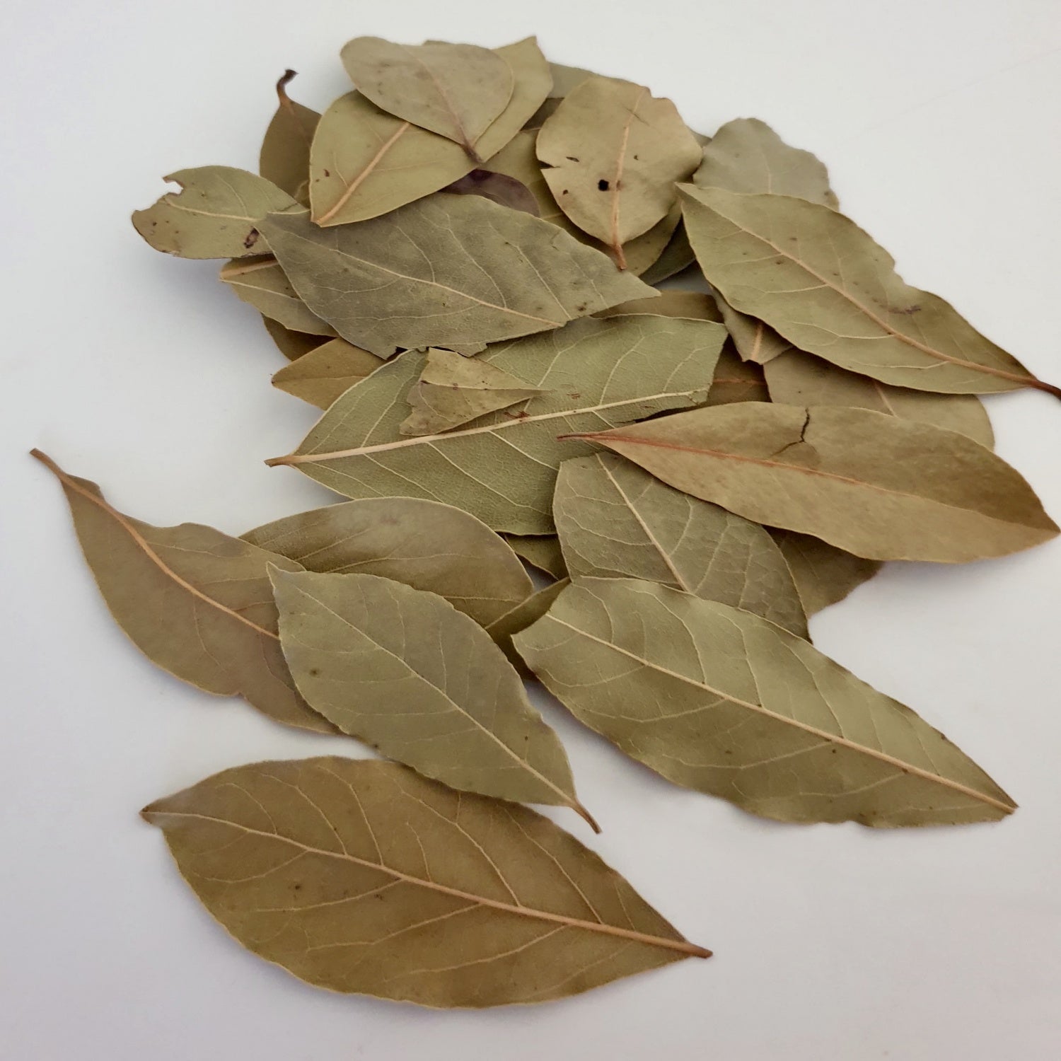 Bay Leaves herb on a white surface.