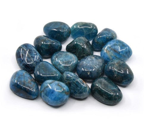 The image displays a collection of polished Blue Apatite tumbled stones on arranged on a white background