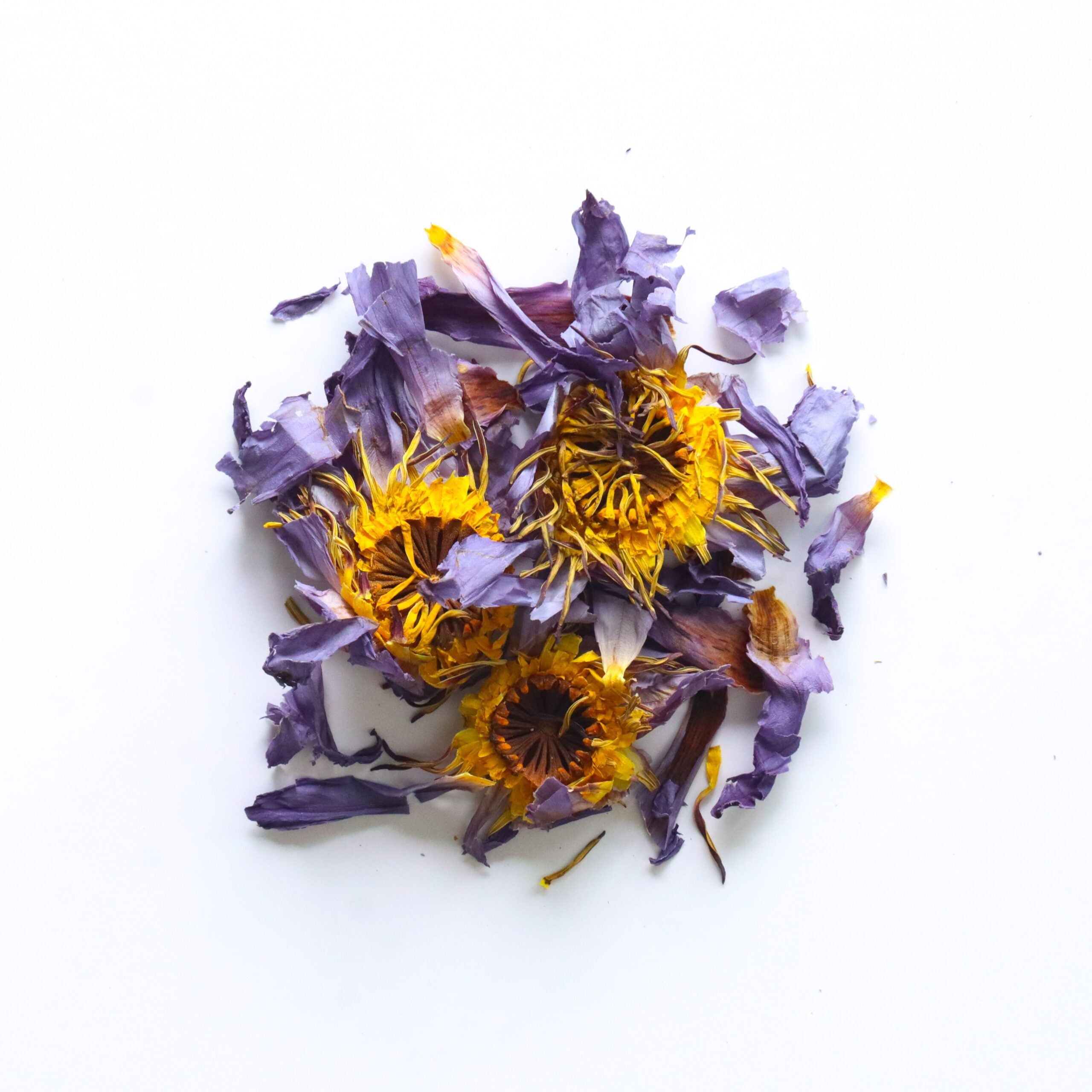 Blue Lotus herb on a white surface.