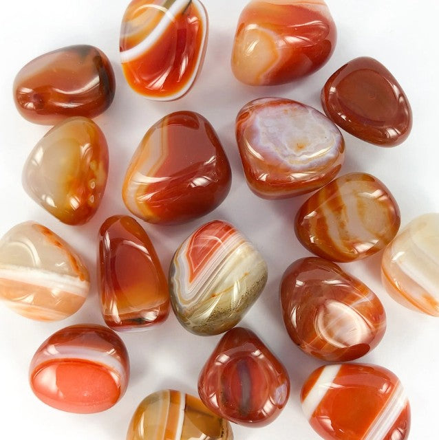 This image displays Carnelian Tumbles also known as Carnelian Agate on a white background