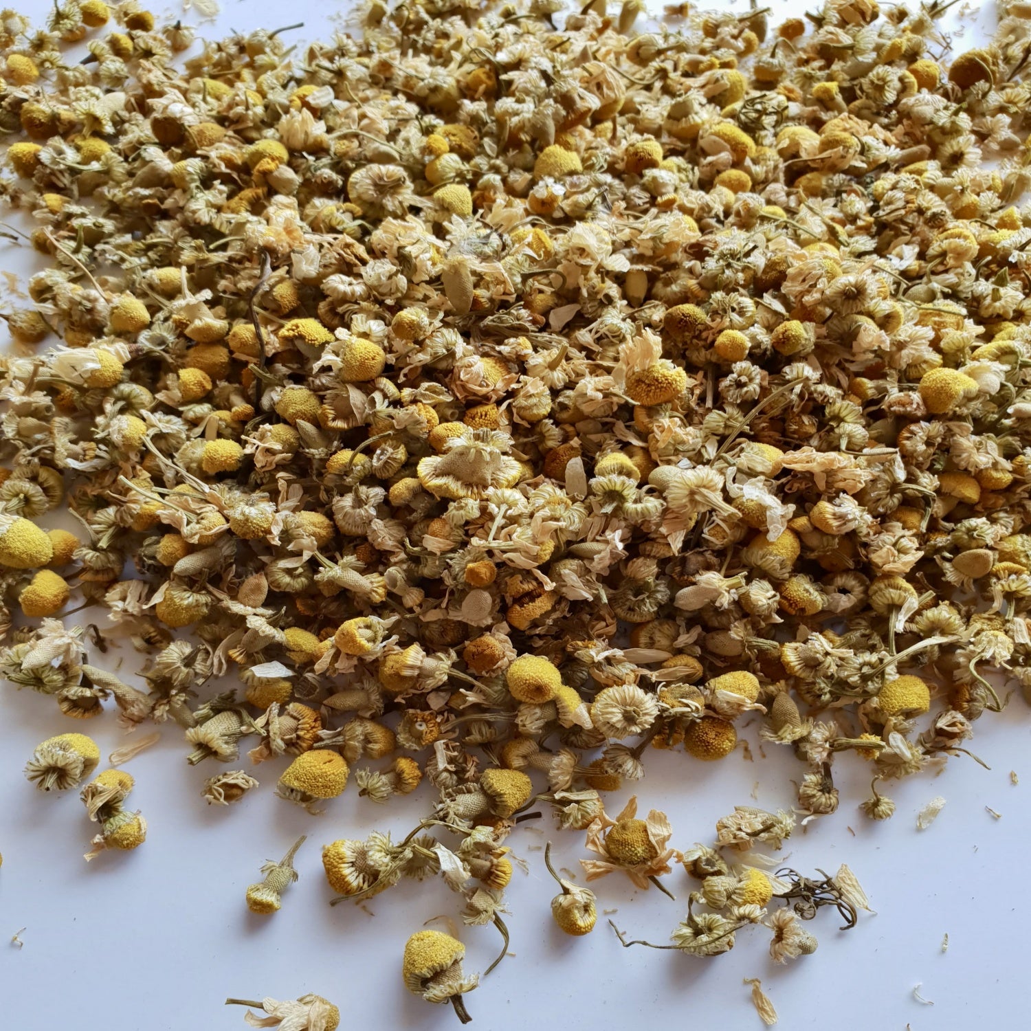 Chamomile herb on a white surface.
