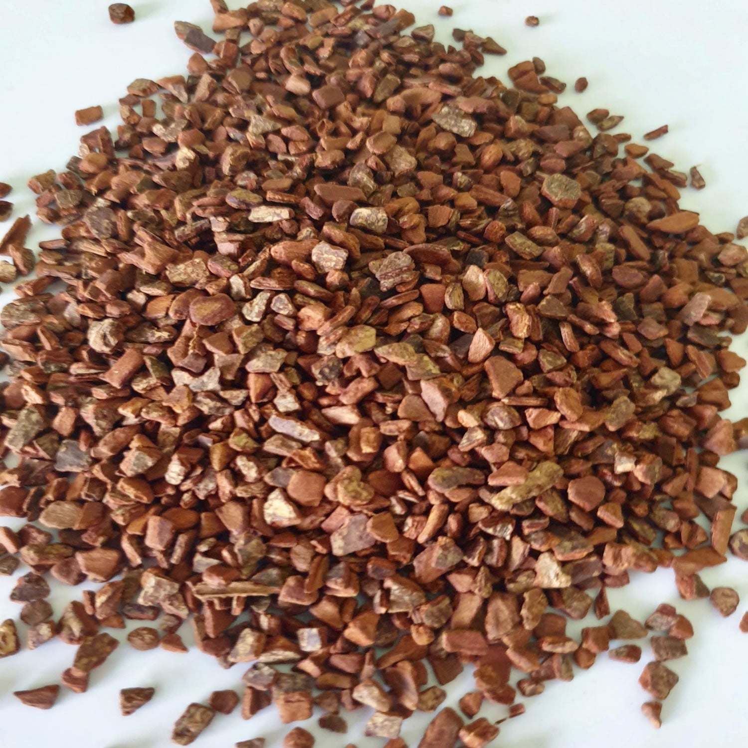 Cinnamon Chips herb on a white surface.