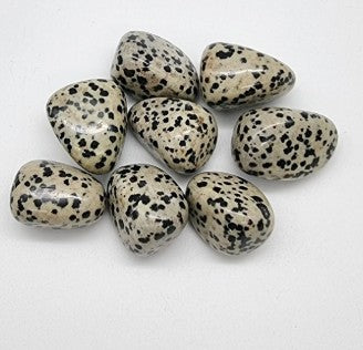 This picture displays a collection of tumbled Dalmatian jasper stones on a white background