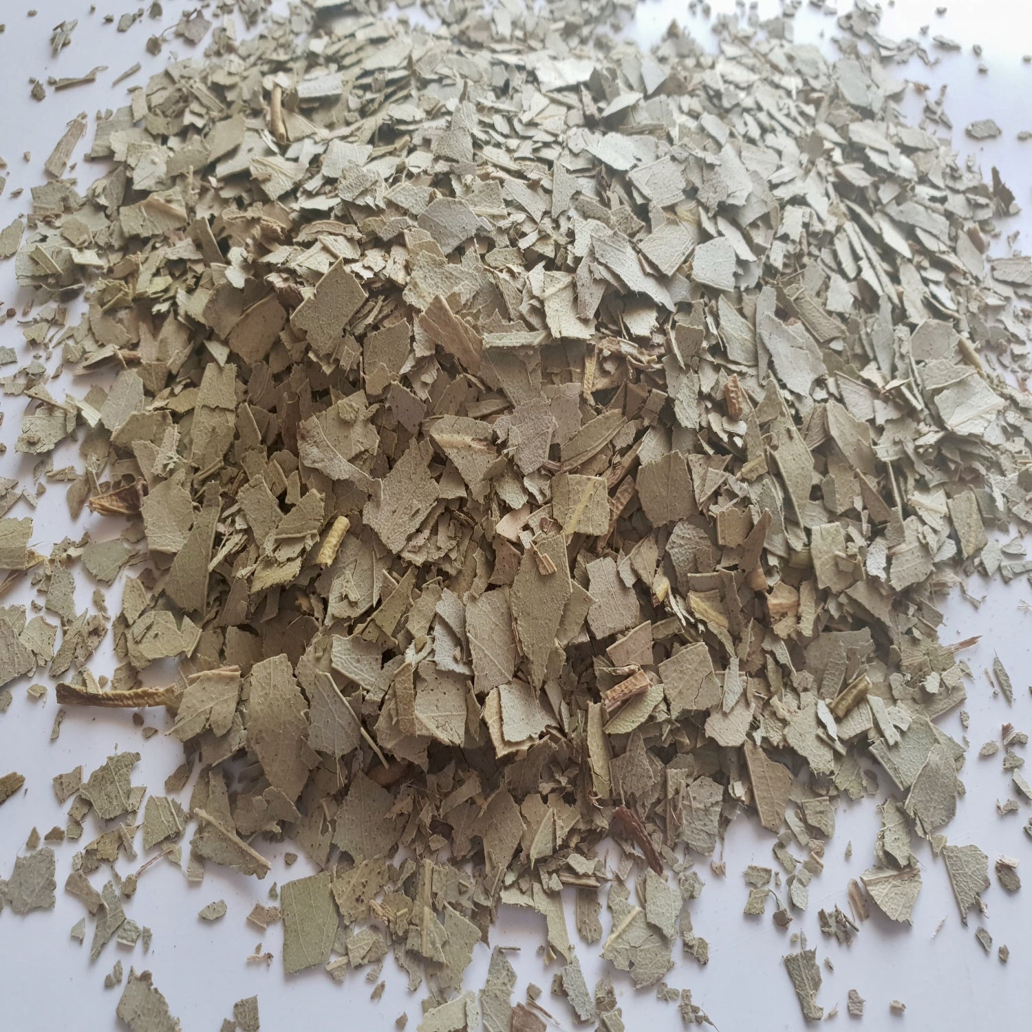 Eucalyptus herb on a white surface.
