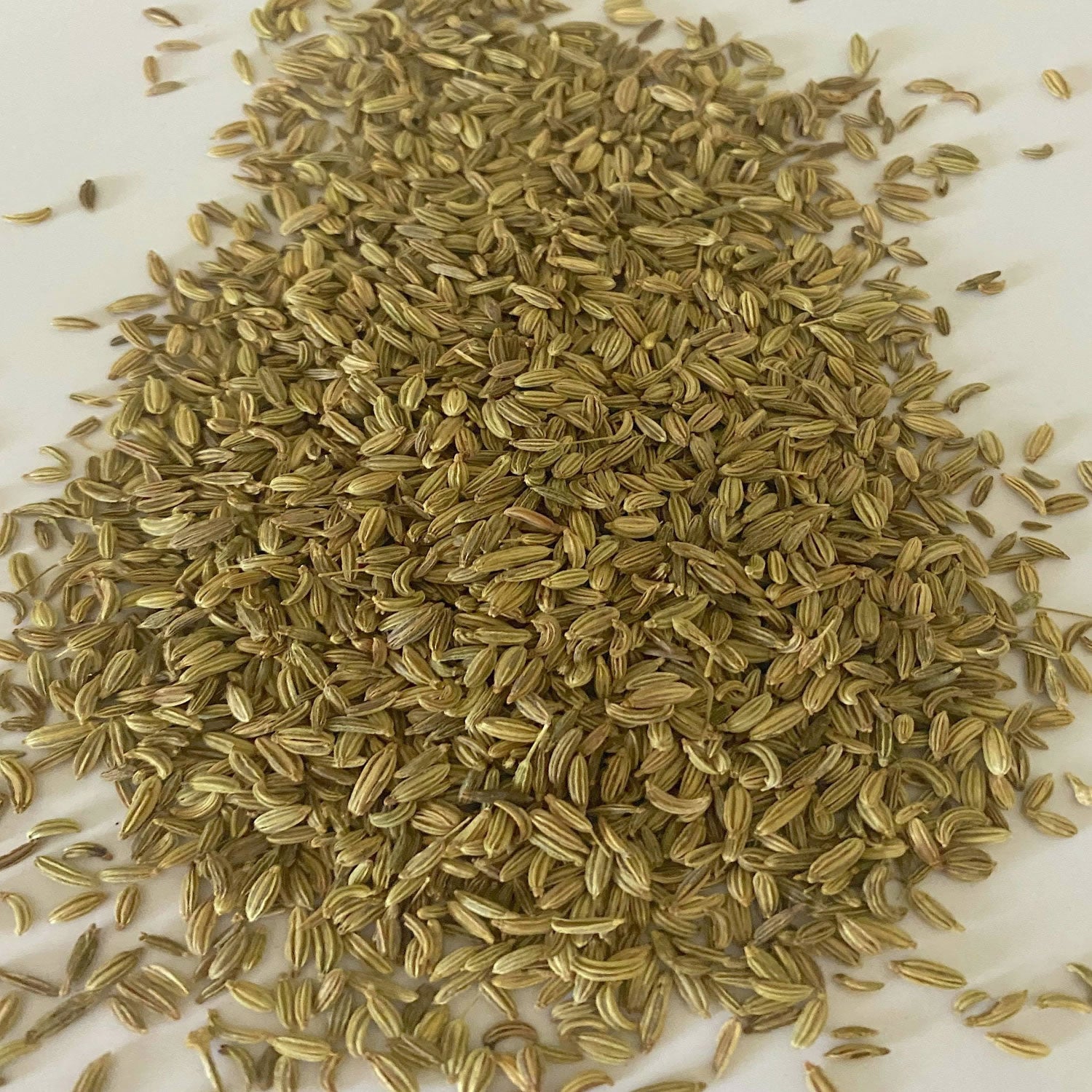 Fennel herb on a white surface.