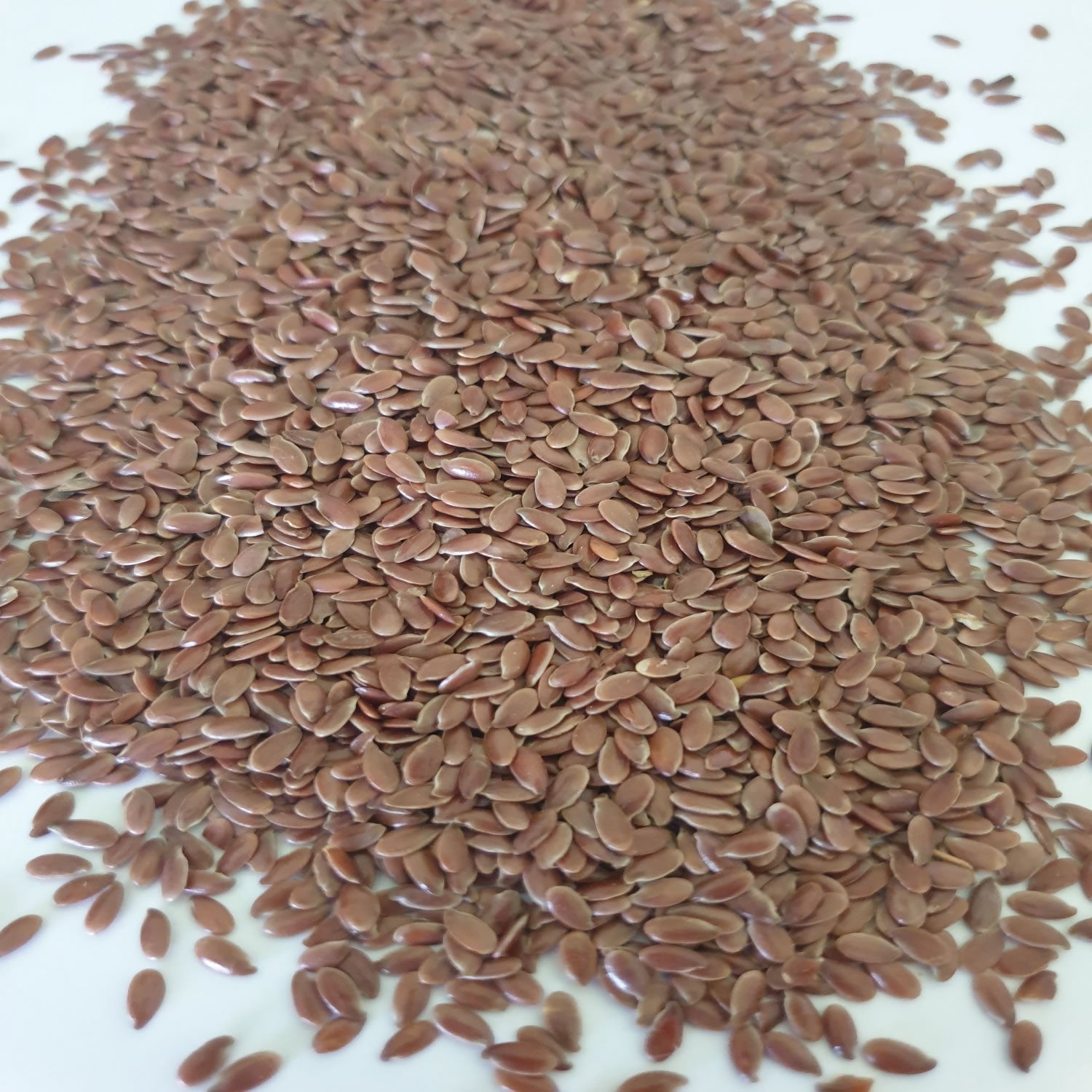 Flaxseed herb on a white surface.