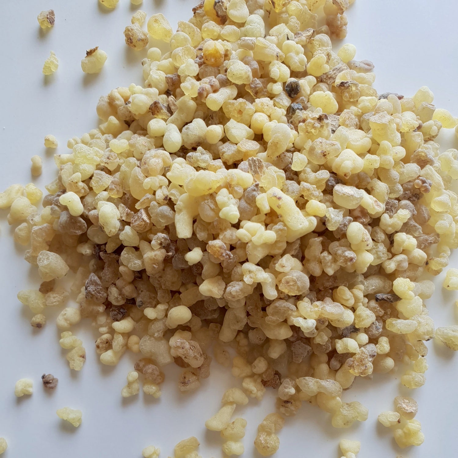 Frankincense Resin herb on a white surface.