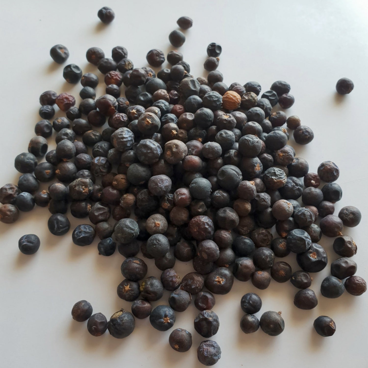 Juniper Berries herb on a white surface.
