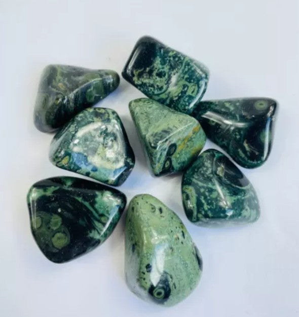 The image displays a collection of polished Kambaba Jasper tumbled stones on arranged on a white background