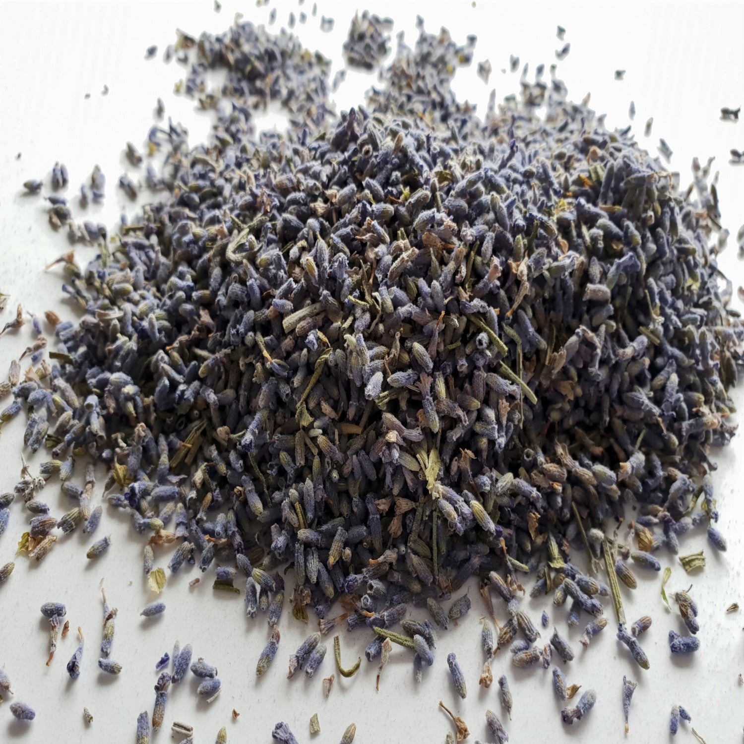 Lavender herb on a white surface.