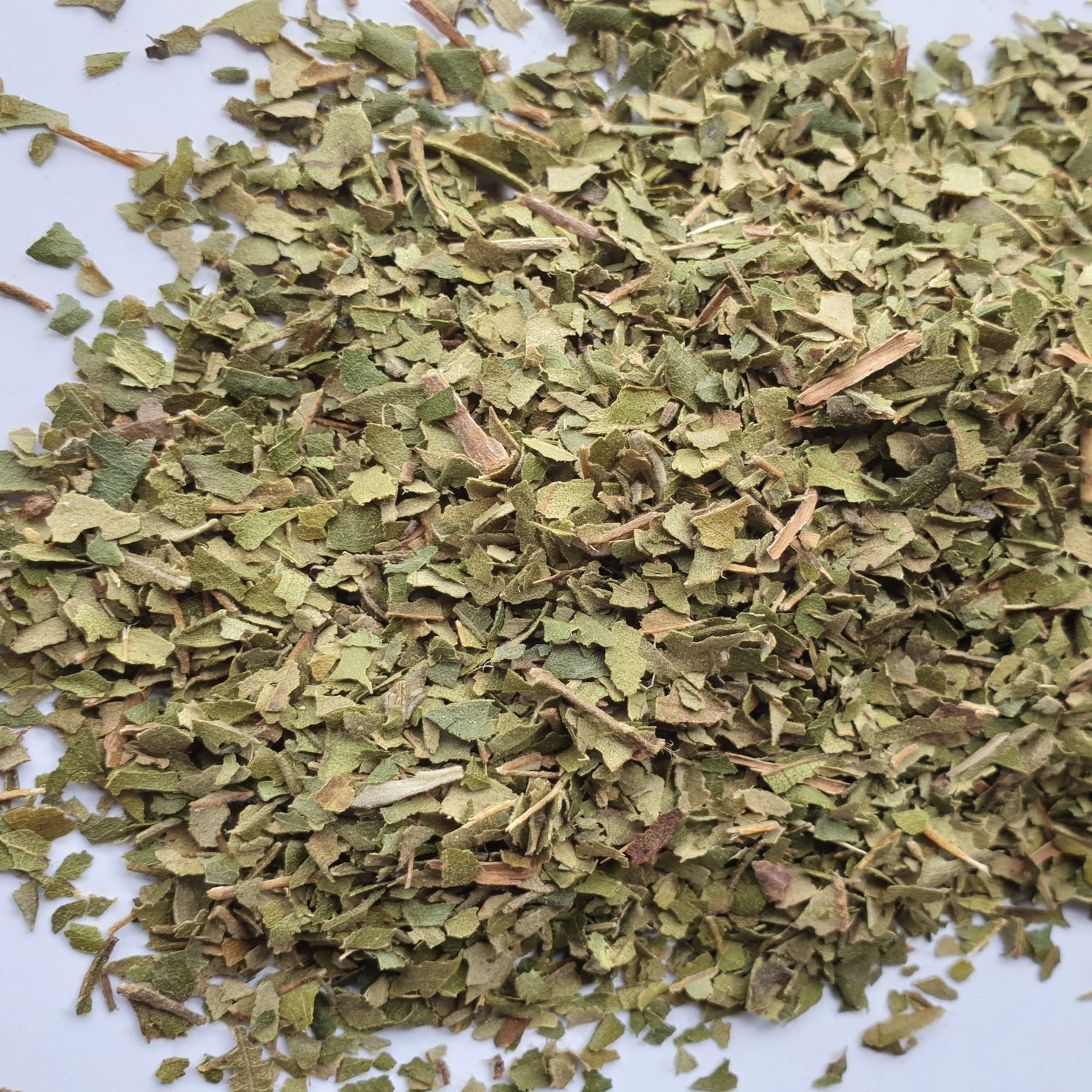 Lemon Myrtle herb on a white surface.