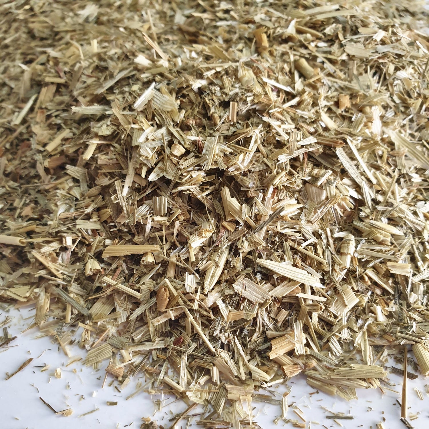 Oat Straw herb n a white surface.
