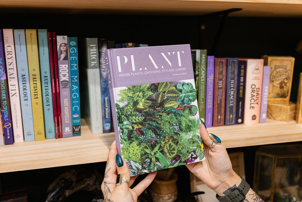 Book hard cover Plant: House plants: choosing, styling, caring