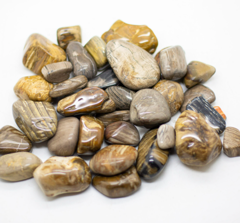 Petrified Wood Tumble