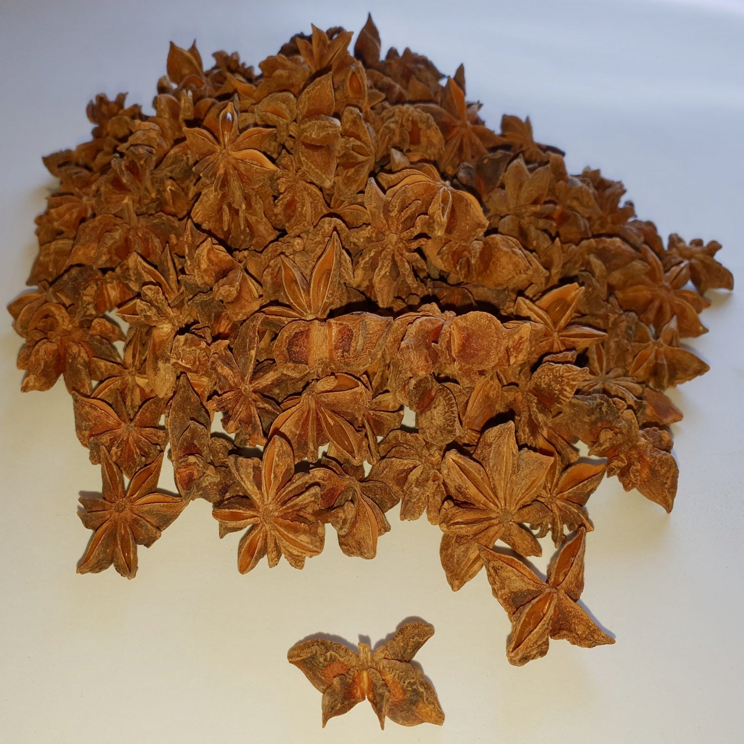 Star Anise herb on a white surface.