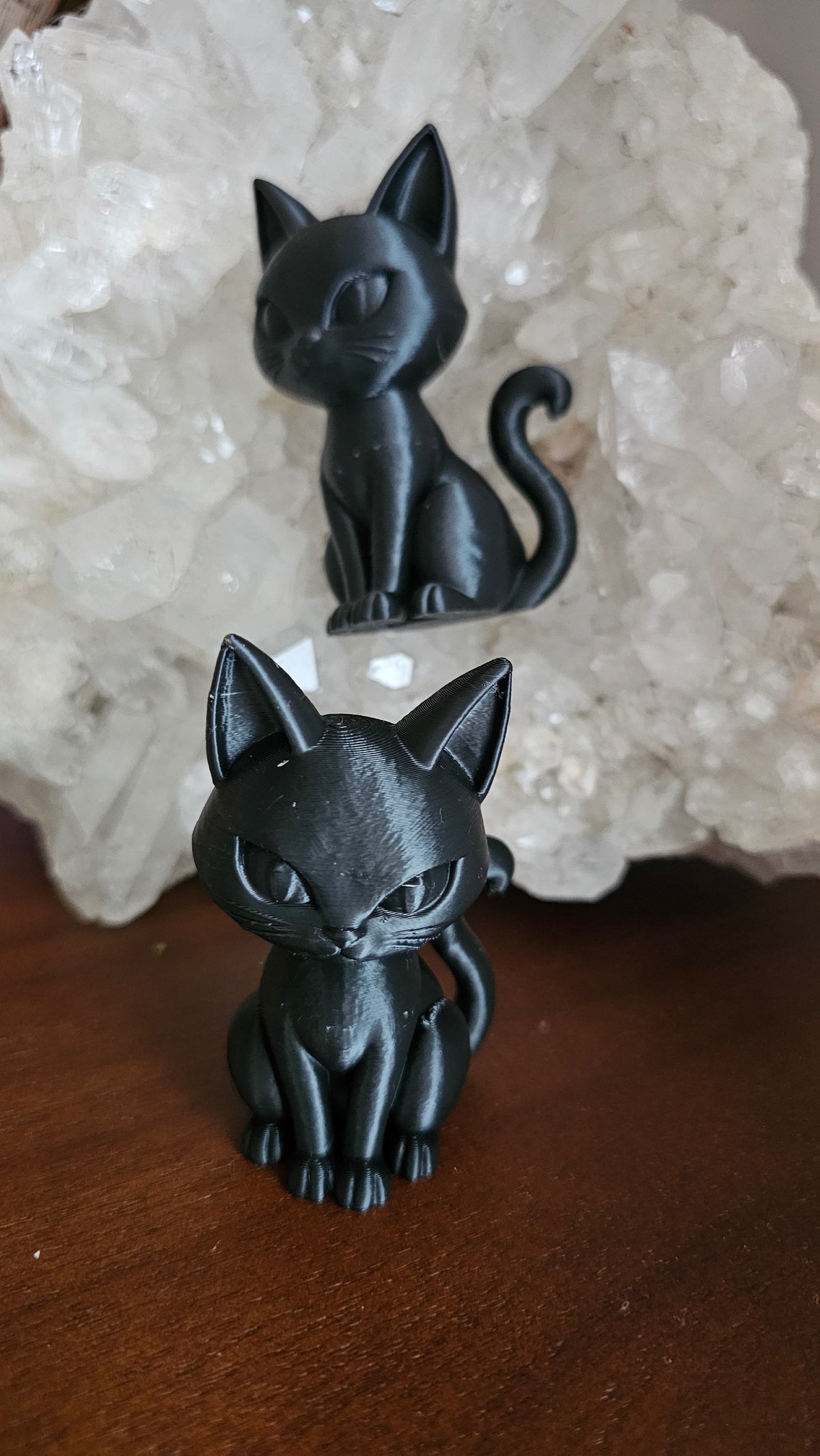 Black Halloween cat
