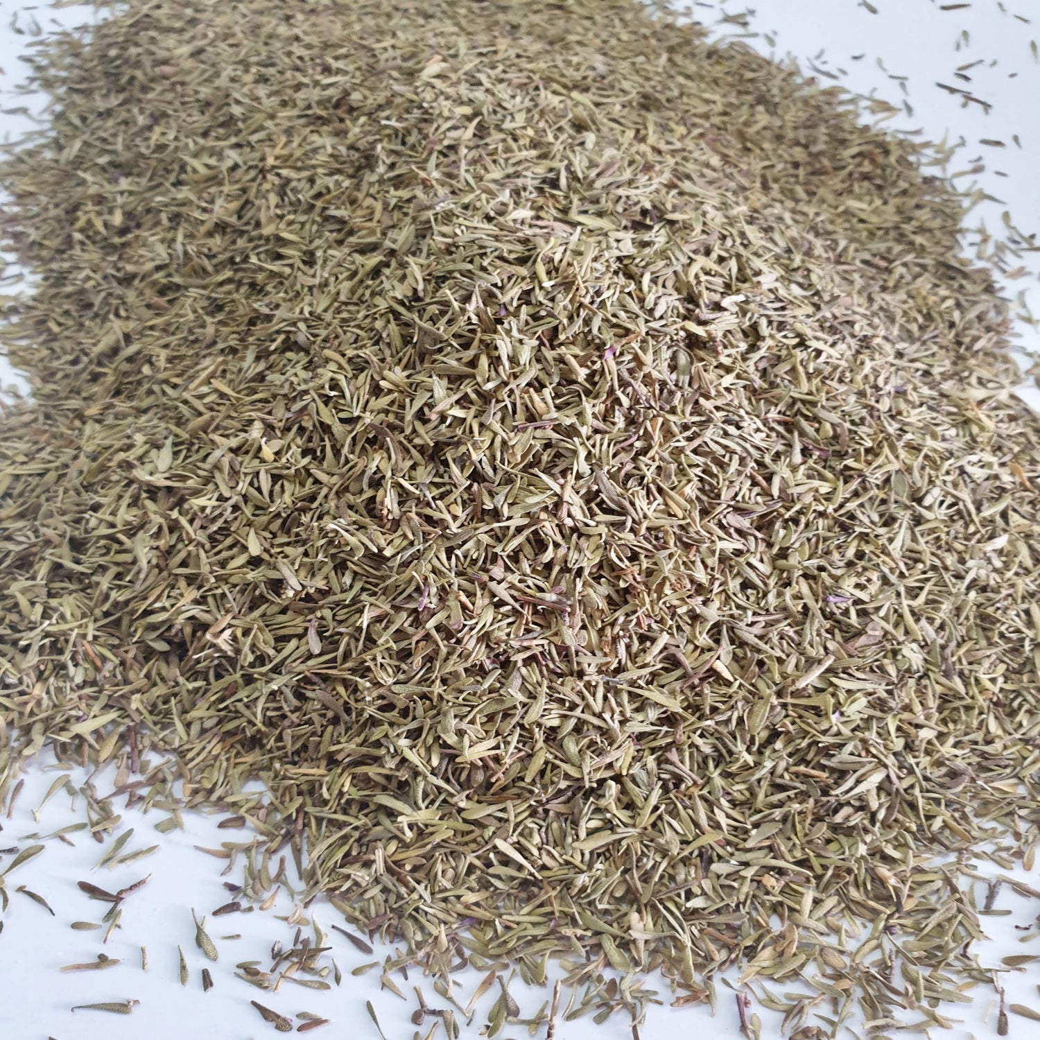 Thyme herb on a white surface.