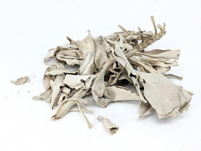 White Sage herb displayed on a white surface.