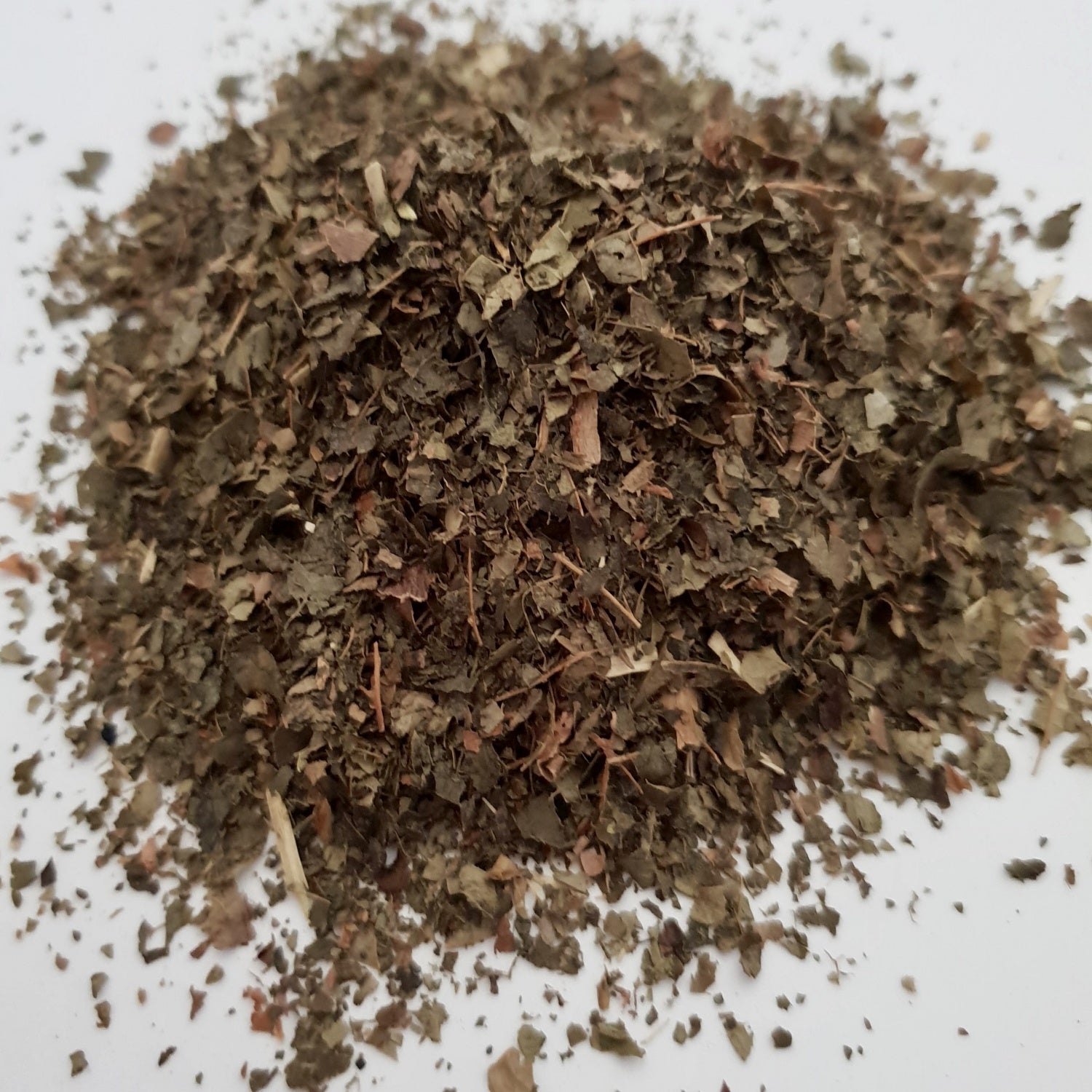 Witch Hazel herb displayed on a white surface.