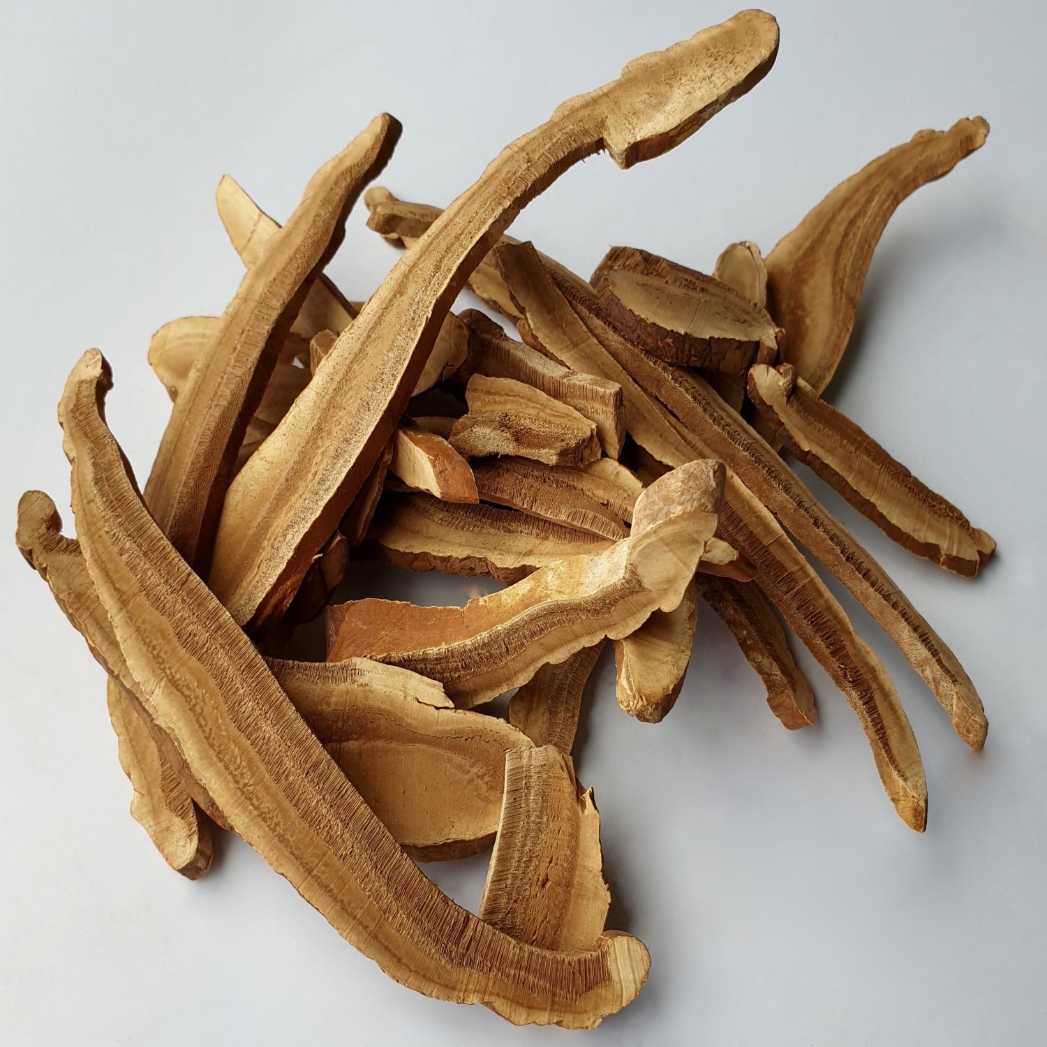 Reishi Mushroom (25g)