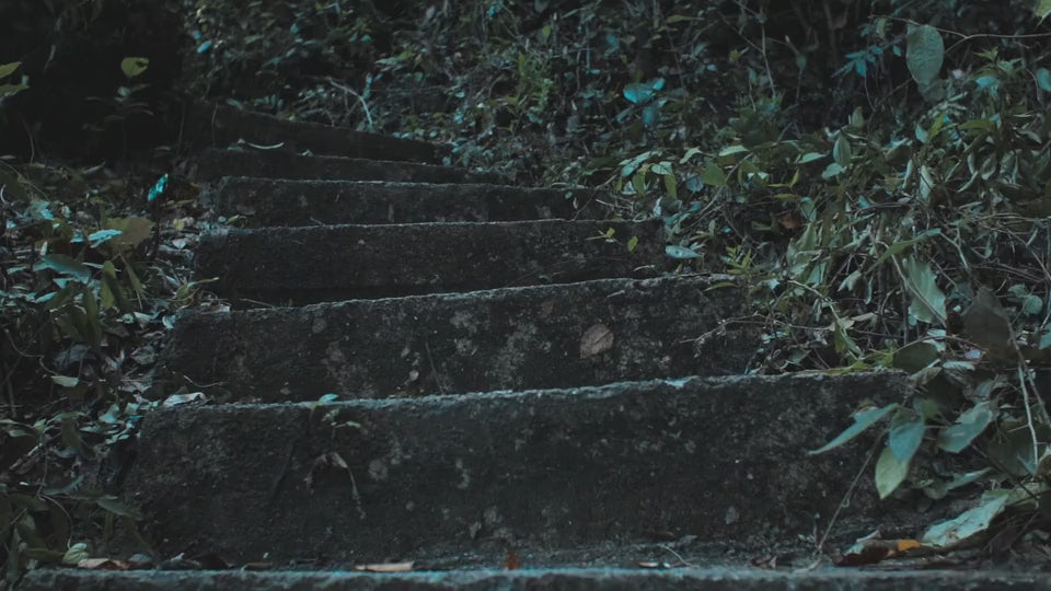 Forrest with stone steps spiriling up a hill