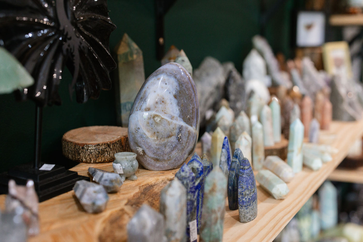 Collection of crystals and rocks on a wooden shelf with a dark green background