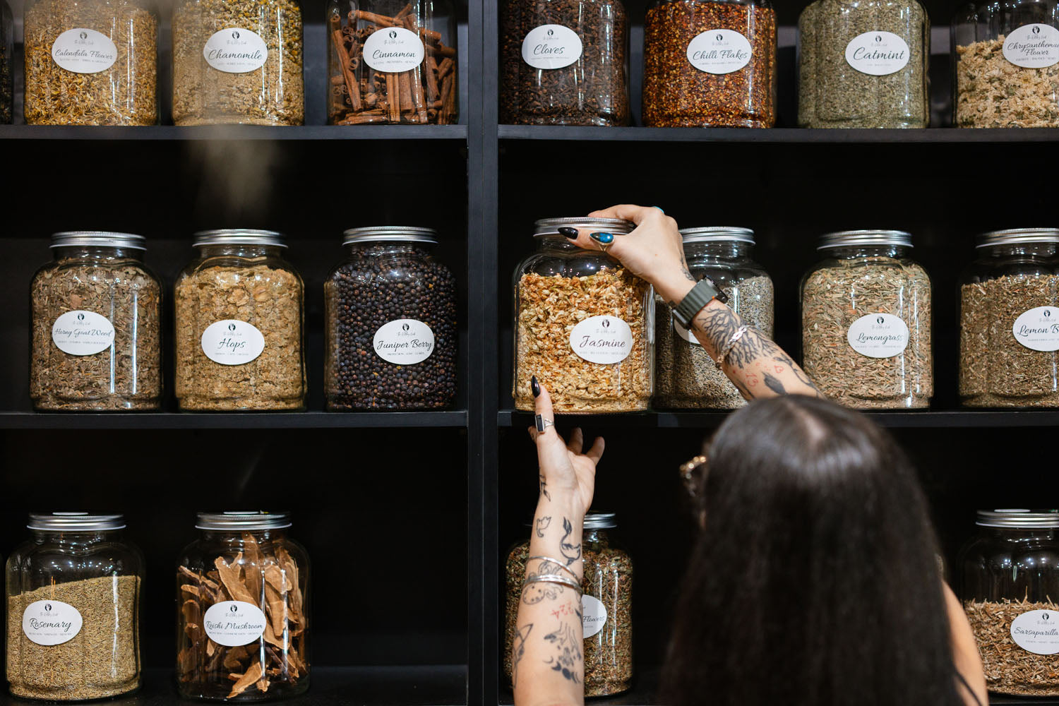 Person selecting a jar from a apothecary shelf of various jars with labels
